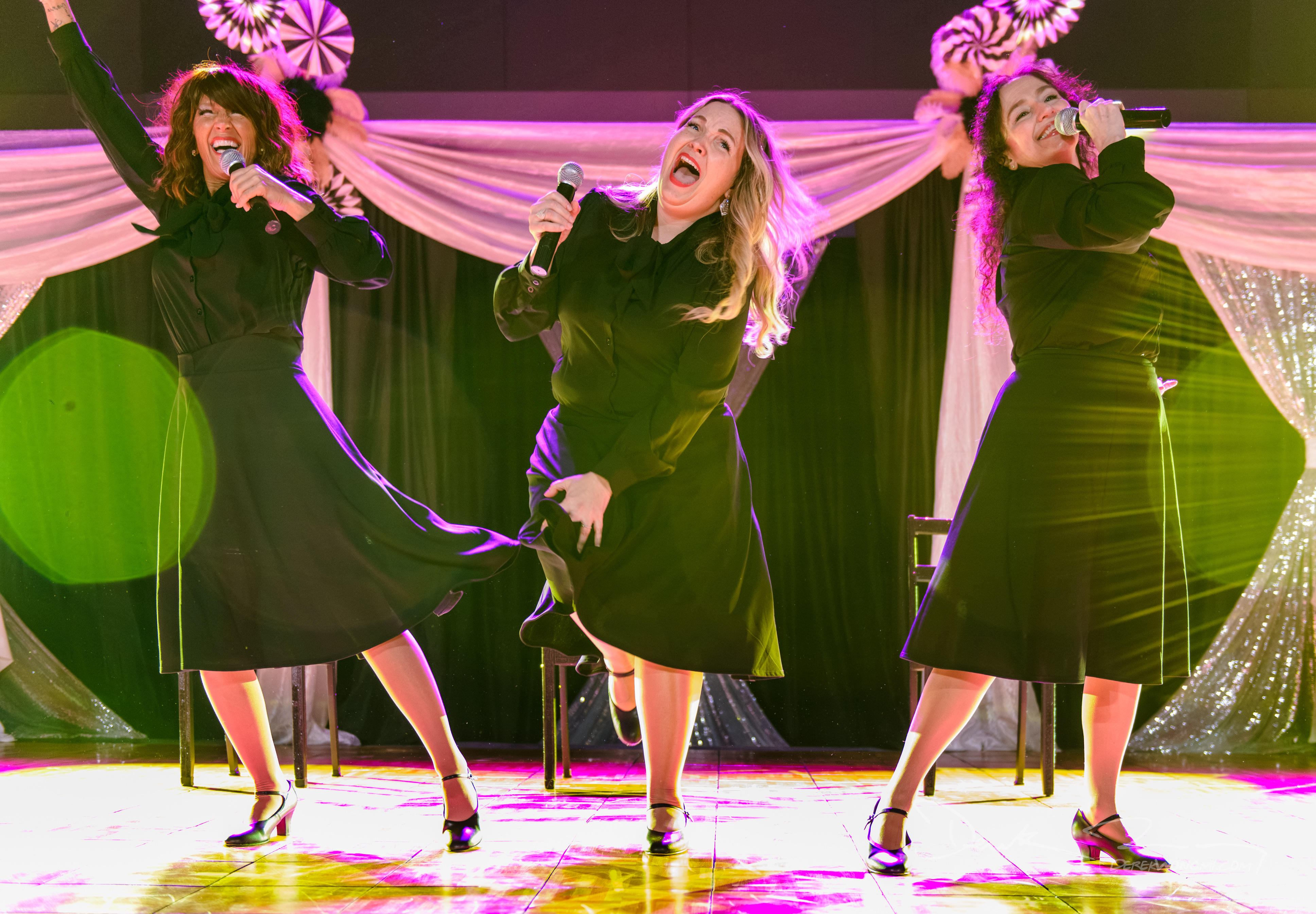 Dancing With The Local Stars Muskegon 2026